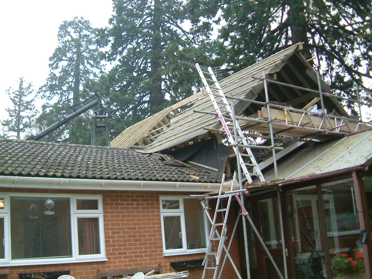 2006 Collection